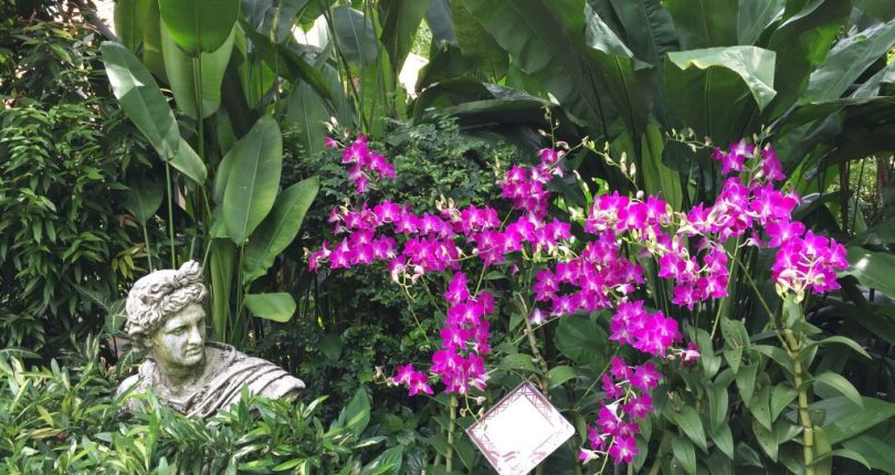 Cennetten Bir Köşe: Singapur Botanik Bahçesi